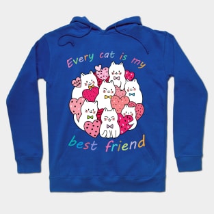 Every cat is my best friend Hoodie